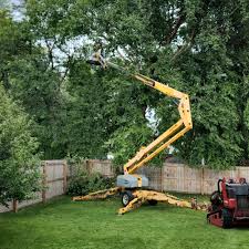 Best Utility Line Clearance  in Camp Swift, TX