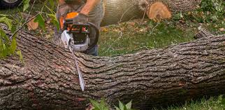 Best Artificial Turf Installation  in Camp Swift, TX